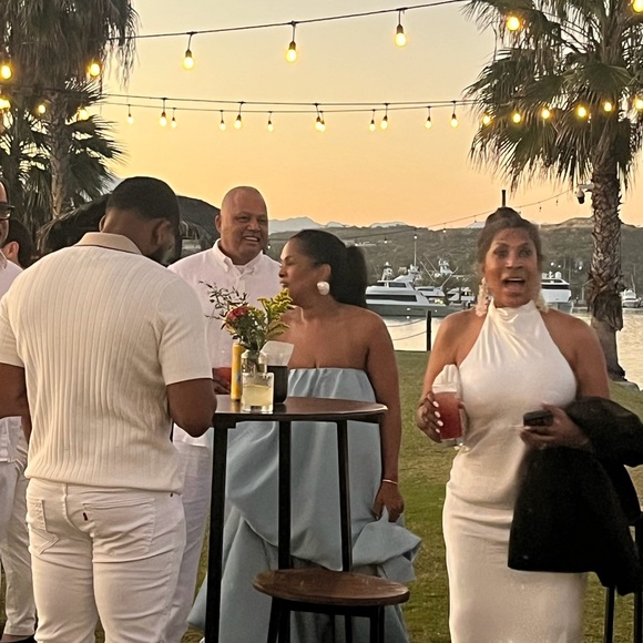 Meshki | Esther Iridescent Satin Cowl Maxi Dress - White - Picture 9 of 9